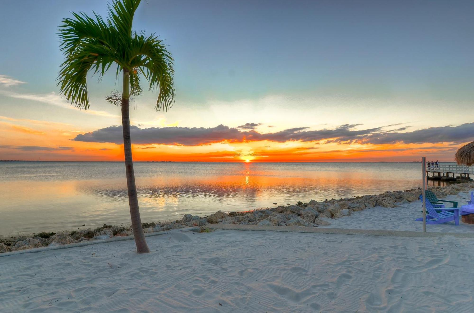 227-Wifi, New Paint, Amazing Views, Close To Bucs Stadium Tampa Exterior photo